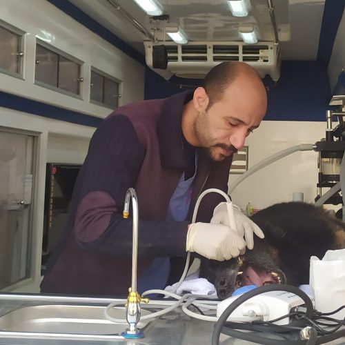 WhatsApp Image 2023-05-21 at 20.45.27